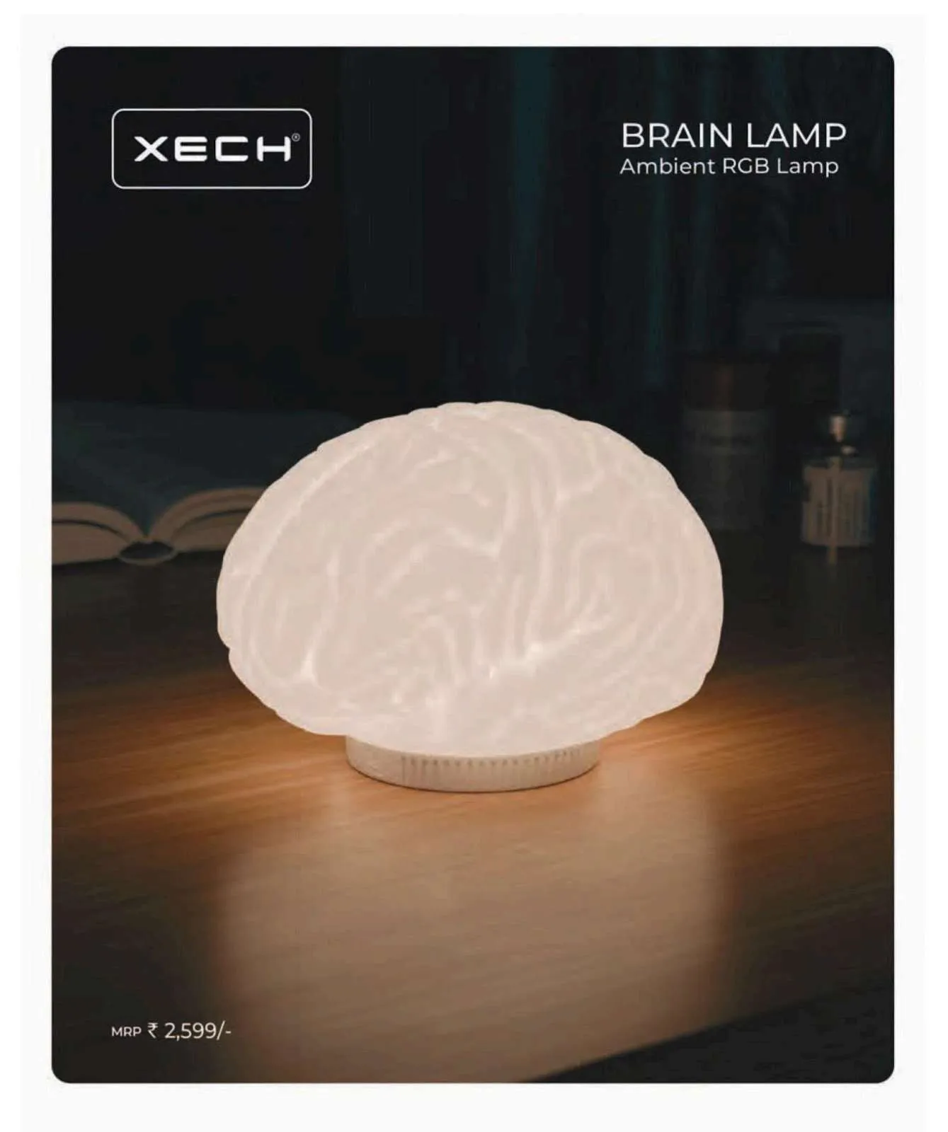 Brain Lamp — view 2